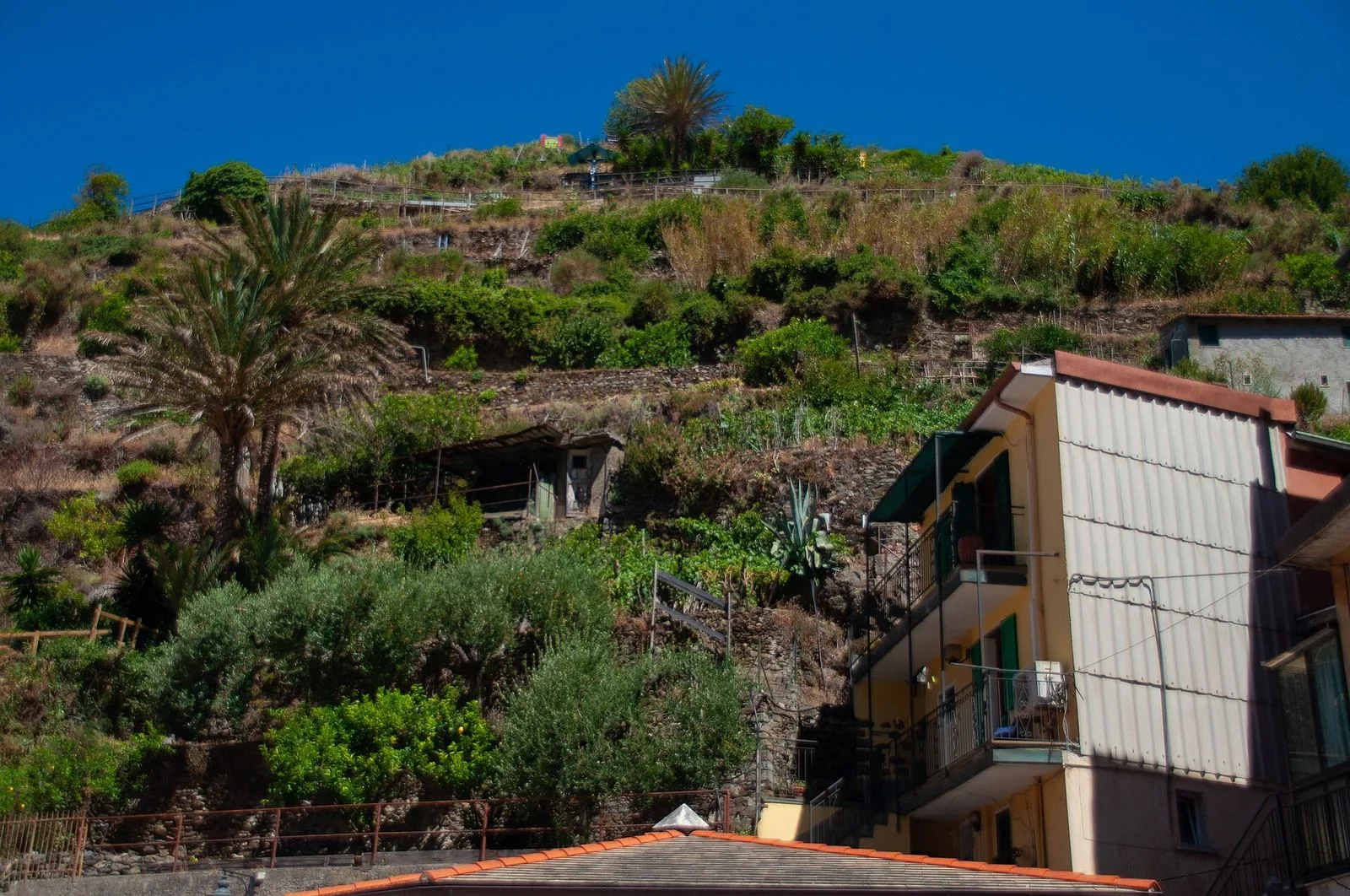 Casa colorata alle Cinque Terre da ristrutturare
